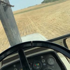 Meet your Posher, Colton